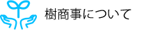 樹商事について